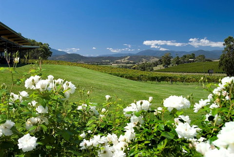 Balgownie Estate Yarra Valley - Great Ocean Road Tourism 36
