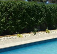 Robinvale Bridge Motel - Great Ocean Road Tourism