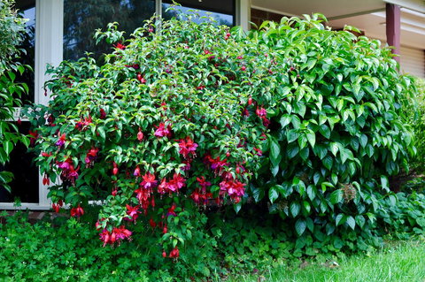 Crimea Retreat - Great Ocean Road Tourism 18