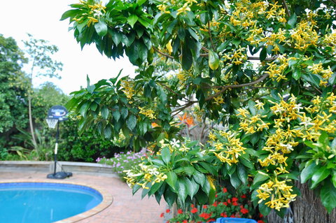 Crimea Retreat - Great Ocean Road Tourism 20