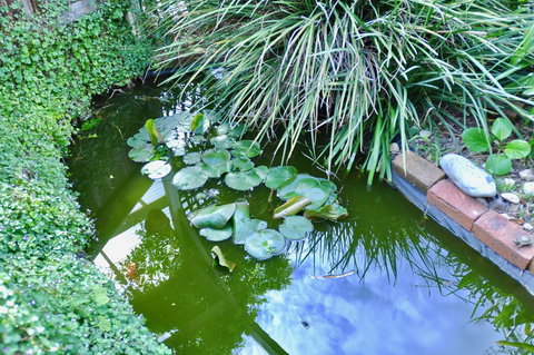 Crimea Retreat - Great Ocean Road Tourism 26