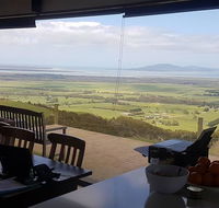 One Tree Hill - Great Ocean Road Tourism