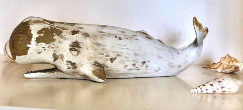 Sea Shells On Banyan Apartment - Great Ocean Road Tourism 4