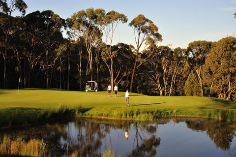 RACV Goldfields Resort - Great Ocean Road Tourism 31