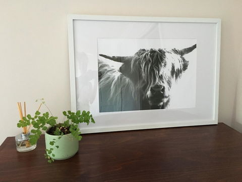 Ocean View Beach House - Great Ocean Road Tourism 4