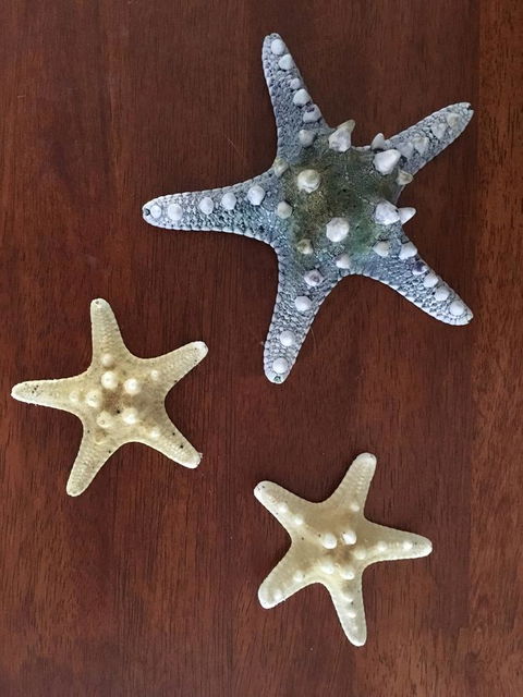 Ocean View Beach House - Great Ocean Road Tourism 2