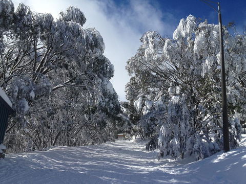 Maisonettes Falls Creek - Great Ocean Road Tourism 17