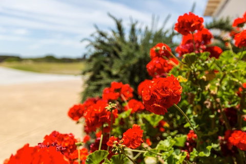 Cottages For Couples - Great Ocean Road Tourism 13