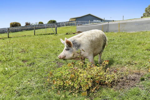Anchors Port Campbell - Great Ocean Road Tourism 27