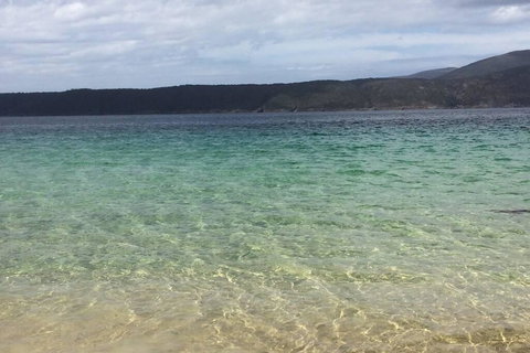 The Cove... On The Rocks At Port Arthur - Great Ocean Road Tourism 1