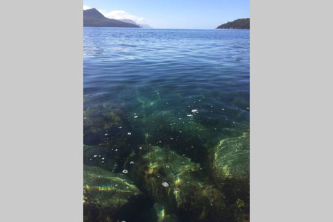 The Cove... On The Rocks At Port Arthur - Great Ocean Road Tourism 3
