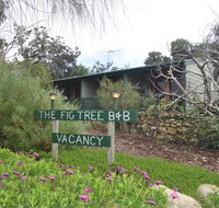 The Fig Tree BB - Great Ocean Road Tourism