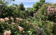 The Racecourse Inn - thumb 2