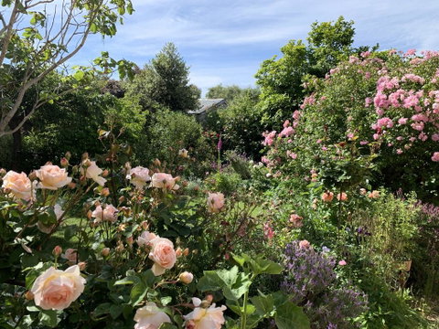 The Racecourse Inn - Great Ocean Road Tourism 2
