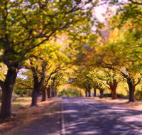 The Shelter Shed Garden Studio Apartment - Great Ocean Road Tourism