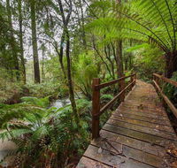 The Source Otways - Great Ocean Road Tourism