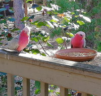 The Treehouse In Dawesville - Great Ocean Road Tourism