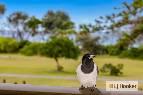 TRADEWINDS 1 - Great Ocean Road Tourism 1