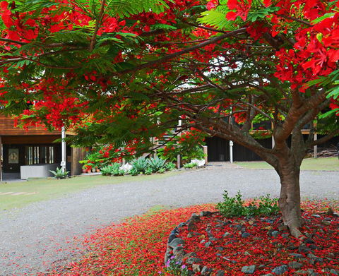 TRANQUILO BEACH HOUSE - Great Ocean Road Tourism 2