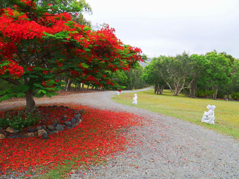 TRANQUILO BEACH HOUSE - Great Ocean Road Tourism 1