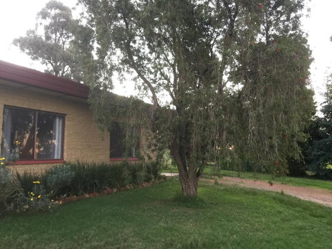 Tree Of Love Farm Stay - Great Ocean Road Tourism 1