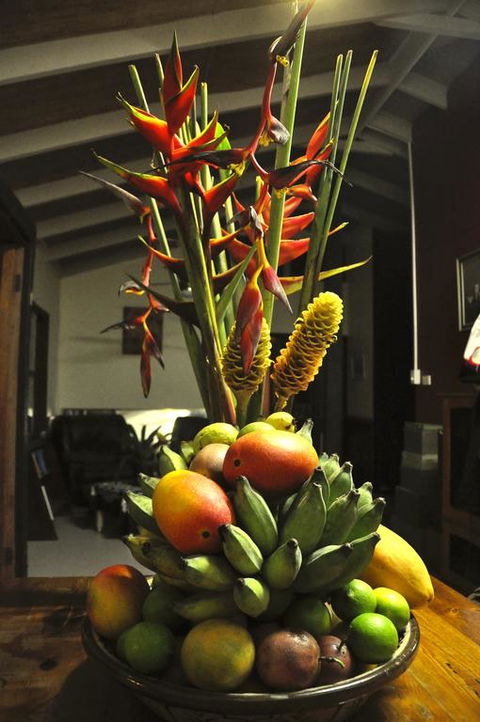 Tropical Bliss Bed And Breakfast - Great Ocean Road Tourism 3