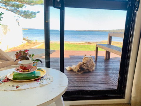 Vandy's Shack At Mount Dutton Bay - Ideal For Couples And Small Families - Great Ocean Road Tourism 3