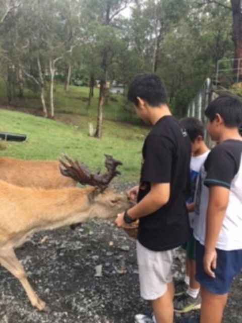 Villa Cervi Property - Great Ocean Road Tourism 3