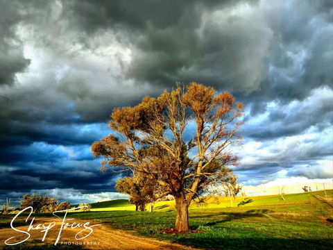 Wantana Cottage Farmstay - Great Ocean Road Tourism 2