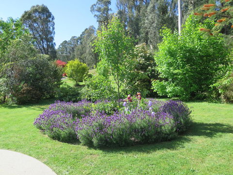 Amelina Cottages - Great Ocean Road Tourism 32