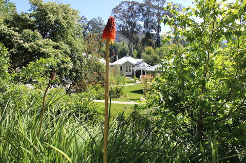 Amelina Cottages - Great Ocean Road Tourism 23