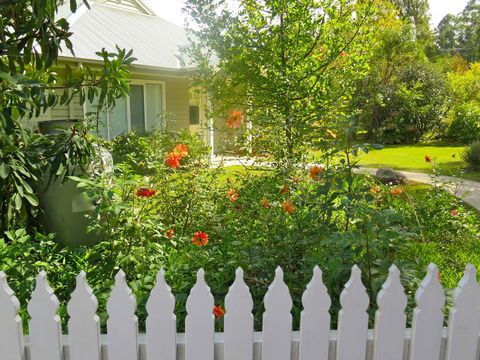 Amelina Cottages - Great Ocean Road Tourism 34