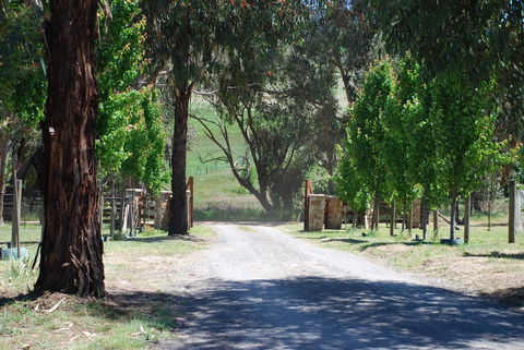 Bluegum Ridge Cottages - Great Ocean Road Tourism 3