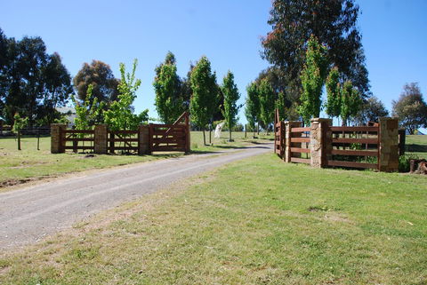 Bluegum Ridge Cottages - Great Ocean Road Tourism 2