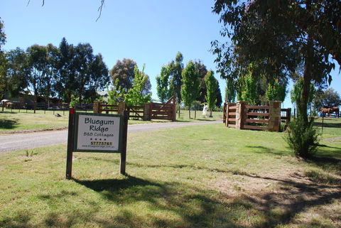 Bluegum Ridge Cottages - Great Ocean Road Tourism 1