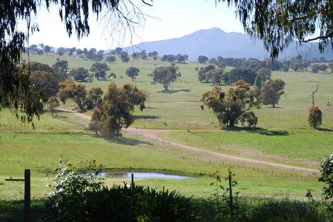 Bluegum Ridge Cottages - Great Ocean Road Tourism 31