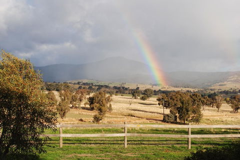 Bluegum Ridge Cottages - Great Ocean Road Tourism 32