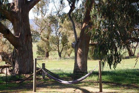 Bluegum Ridge Cottages - Great Ocean Road Tourism 28