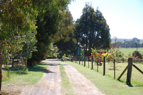 Bluegum Ridge Cottages - Great Ocean Road Tourism 4