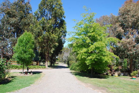 Bluegum Ridge Cottages - Great Ocean Road Tourism 5
