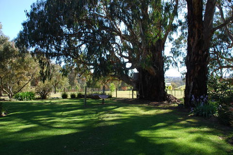 Bluegum Ridge Cottages - Great Ocean Road Tourism 29