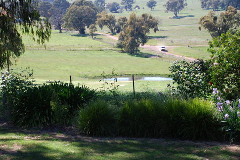 Bluegum Ridge Cottages - Great Ocean Road Tourism 30