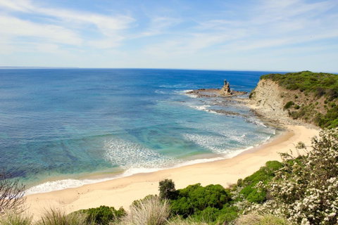 Perfect For Family Fun - Great Ocean Road Tourism 10