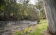 Oscar\'s On The Yarra - thumb 23
