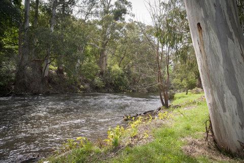Oscar\'s On The Yarra - Great Ocean Road Tourism 23