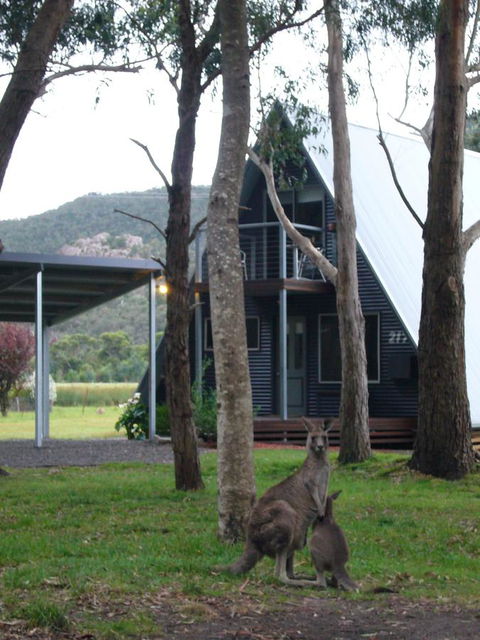 The A-Frame - Great Ocean Road Tourism 1