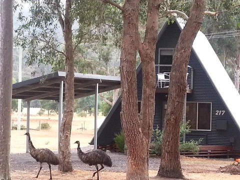 The A-Frame - Great Ocean Road Tourism 9