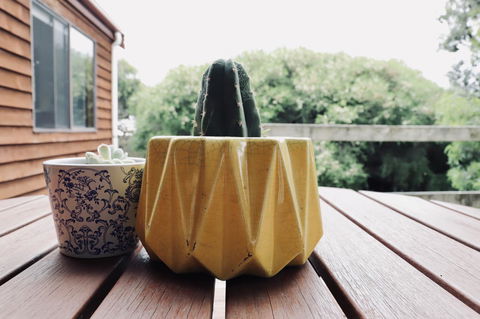 Red Ceder Cottage - Great Ocean Road - Port Campbell - Great Ocean Road Tourism 21