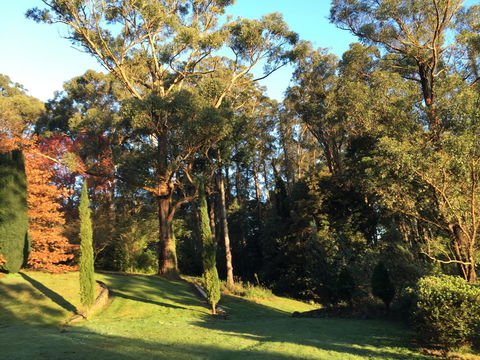 The Dan - Great Ocean Road Tourism 23