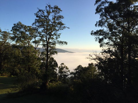 The Dan - Great Ocean Road Tourism 25